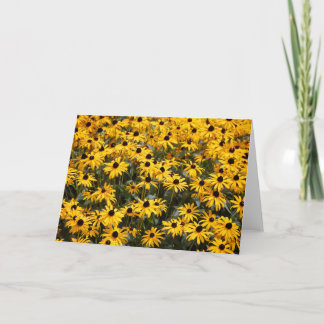 Tarjeta De Agradecimiento Hermosos girasoles, muchos y muchos ojos negros