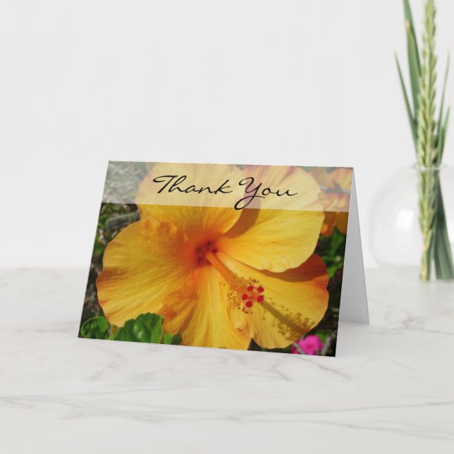 Tarjeta De Agradecimiento Hibiscus - Gracias (Anverso)
