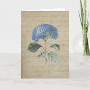 Tarjeta De Agradecimiento Hidrangea azul vintage con caligrafía antigua