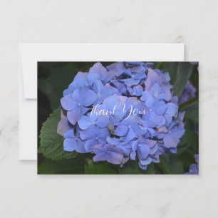 Tarjeta De Agradecimiento Hidrangea Rustica Púrpura