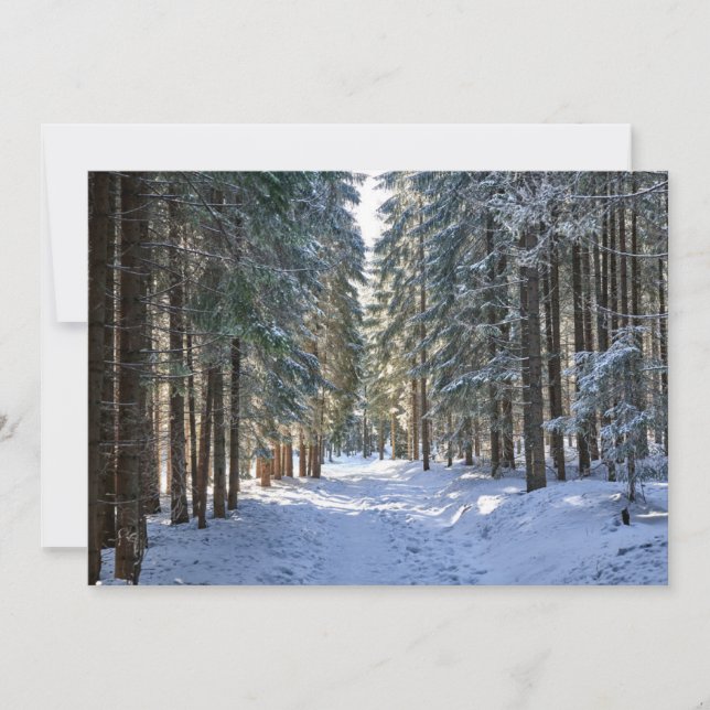 Tarjeta De Agradecimiento Hielo y nieve | Montes Tatra, Polonia (Anverso)