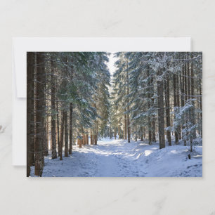Tarjeta De Agradecimiento Hielo y nieve   Montes Tatra, Polonia