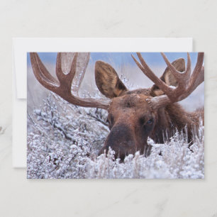 Tarjeta De Agradecimiento Hielo y nieve   Parque Nacional Grand Teton, Wyomi