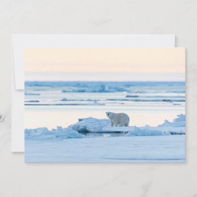 Tarjeta De Agradecimiento Hielo y nieve | Polar Bear Iceberg Noruega (Anverso)