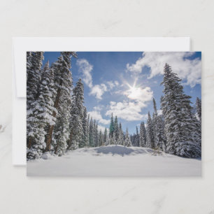 Tarjeta De Agradecimiento Hielo y nieve   Sunrise Winter Snow Alberta, Canad