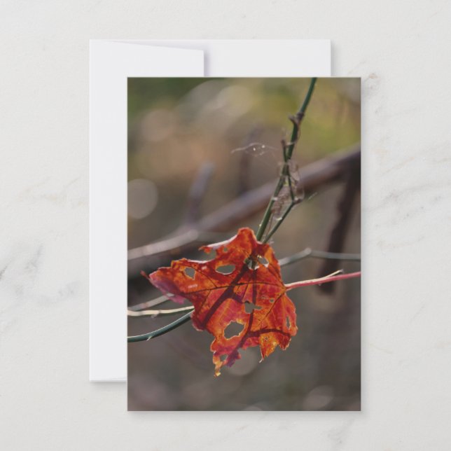 Tarjeta De Agradecimiento Hoja Roja Única (Anverso)