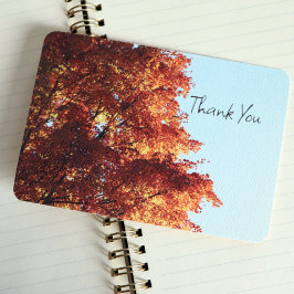 Tarjeta De Agradecimiento Hojas de arce de otoño