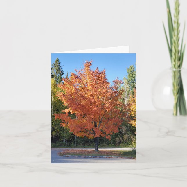 Tarjeta De Agradecimiento Hojas de otoño (Anverso)