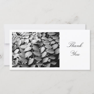 Tarjeta De Agradecimiento Hojas - Gracias