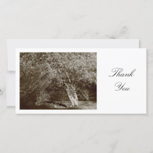Tarjeta De Agradecimiento Holly Tree - Sepia - Gracias