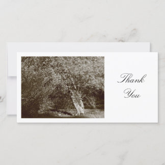 Tarjeta De Agradecimiento Holly Tree - Sepia - Gracias
