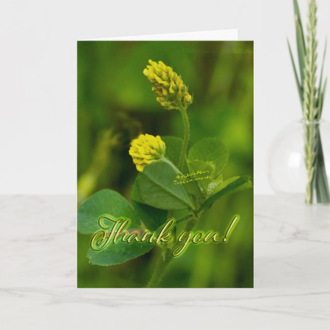 Tarjeta De Agradecimiento Hop Clover Blossom Thank You Card (Anverso)
