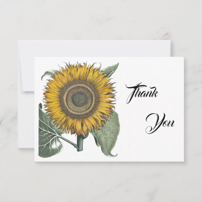 Tarjeta De Agradecimiento Hortus Eystettensis de girasol, 1713 (Anverso)