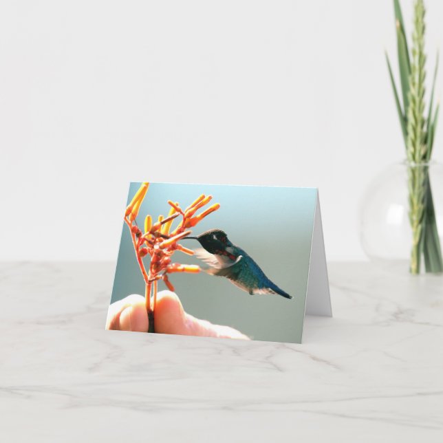 Tarjeta De Agradecimiento Hummingbird (Anverso)