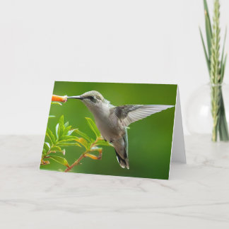 Tarjeta De Agradecimiento Hummingbird Notecard