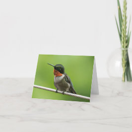 Tarjeta De Agradecimiento Hummingbird Notecard