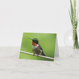 Tarjeta De Agradecimiento Hummingbird Notecard