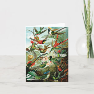 Tarjeta De Agradecimiento Hummingbirds por Ernst Haeckel