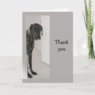 Tarjeta De Agradecimiento Humor de perro Mascota de Great Dane