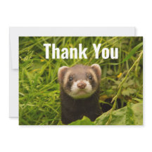 Hurón marrón lindo en la hierba