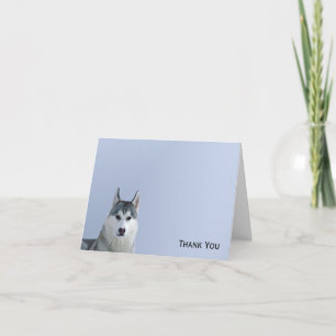Tarjeta De Agradecimiento Husky siberiano de fondo azul