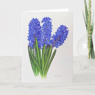 Tarjeta De Agradecimiento Hyacinth