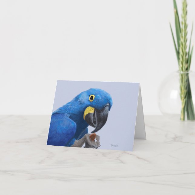 Tarjeta De Agradecimiento Hyacinth Macaw Alentation JW (Anverso)