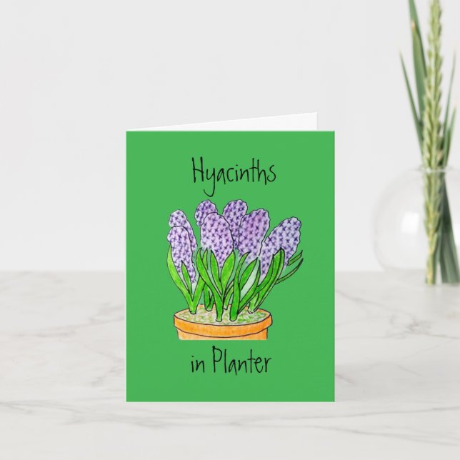 Tarjeta De Agradecimiento Hyacinths in Planter Blank Greeting Card (Anverso)