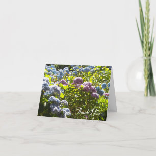 Tarjeta De Agradecimiento Hydrangea Azul y Rosa Gracias
