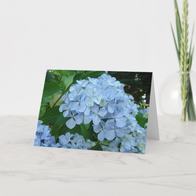 Tarjeta De Agradecimiento Hydrangea Flower Cards Blue Hydrangeas Garden (Anverso)