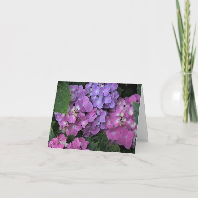 Tarjeta De Agradecimiento Hydrangea rosa (Anverso)