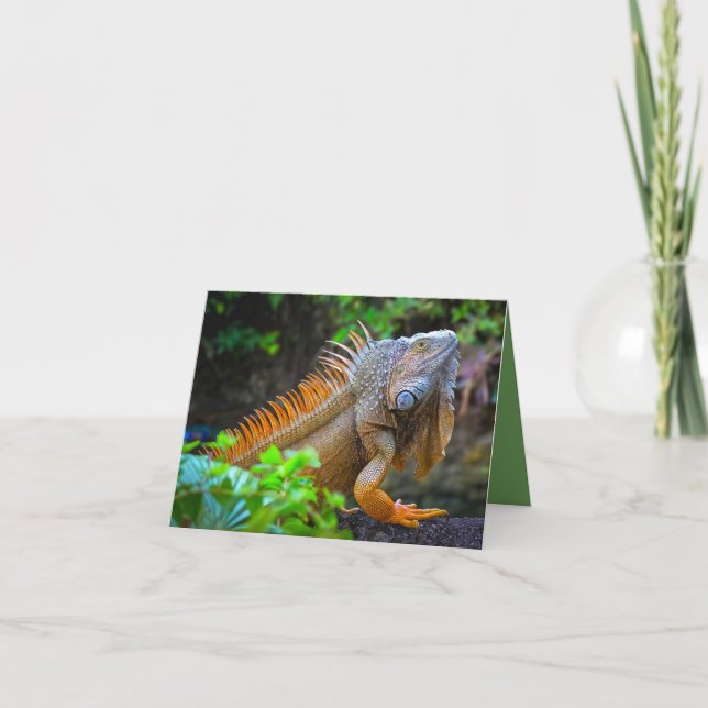 Tarjeta De Agradecimiento "Iguana"  (Anverso)