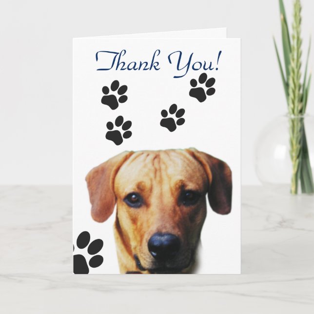 Tarjeta De Agradecimiento Impresión de garras de perro Gracias (Anverso)