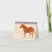 Incendio de Prairie