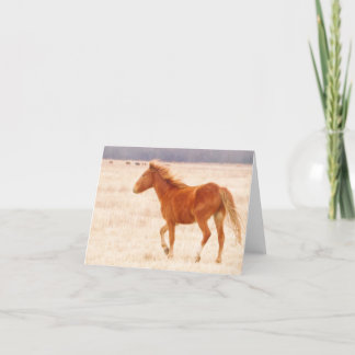 Tarjeta De Agradecimiento Incendio de Prairie