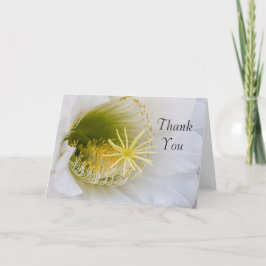 Tarjeta De Agradecimiento Interior de un cactus blanco en flor