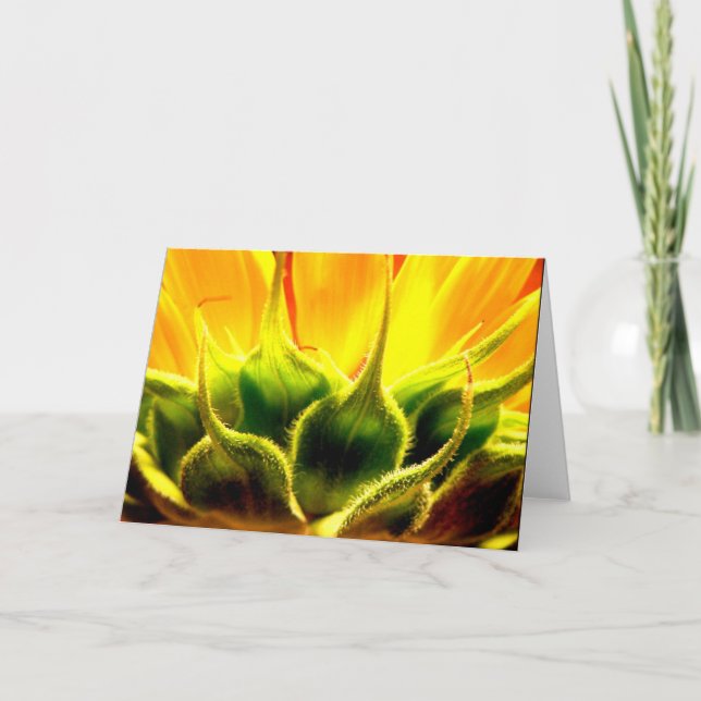 Tarjeta De Agradecimiento Intimidad (Anverso)