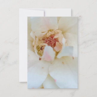 Tarjeta De Agradecimiento Inventions card