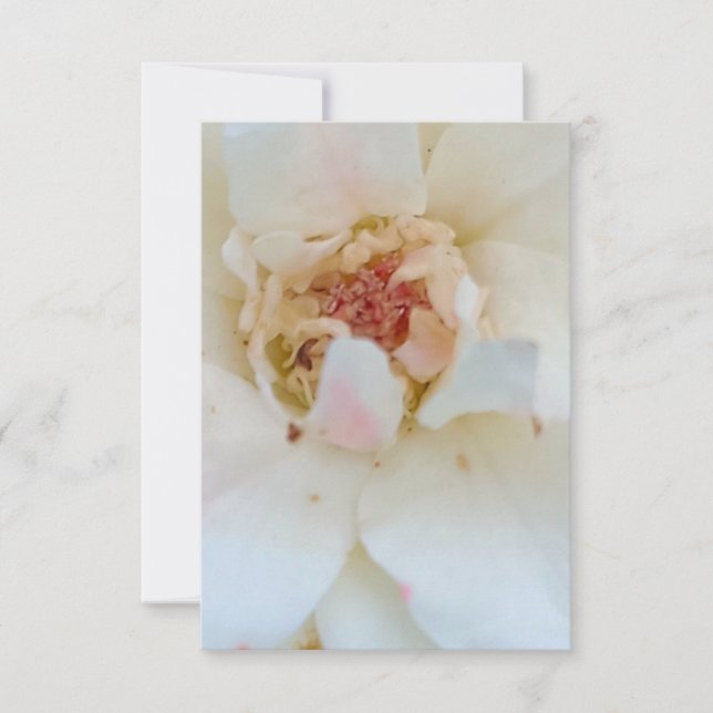 Tarjeta De Agradecimiento Inventions card (Anverso)