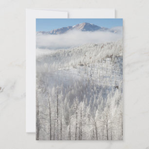 Tarjeta De Agradecimiento Invierno en el bosque nacional de Pike