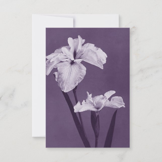 Tarjeta De Agradecimiento Iris Bella Artes (Anverso)
