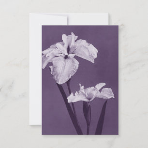 Tarjeta De Agradecimiento Iris Bella Artes