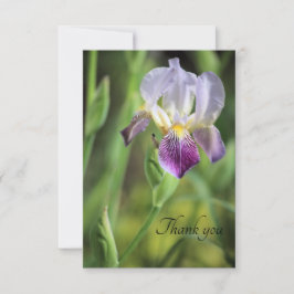 Tarjeta De Agradecimiento Iris Bloom in the Sun
