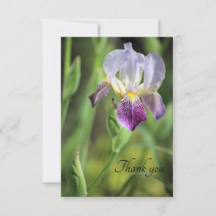 Tarjeta De Agradecimiento Iris Bloom in the Sun
