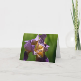 Tarjeta De Agradecimiento Iris con barba
