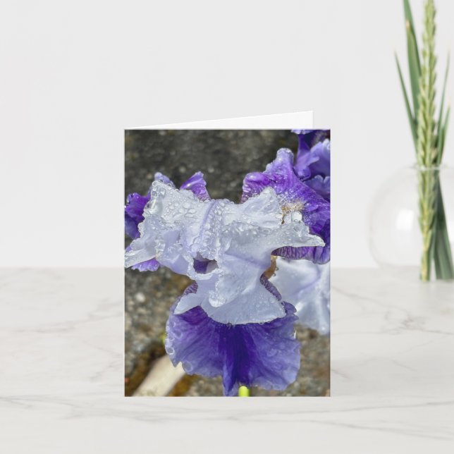 Tarjeta De Agradecimiento Iris en el rocío (Anverso)
