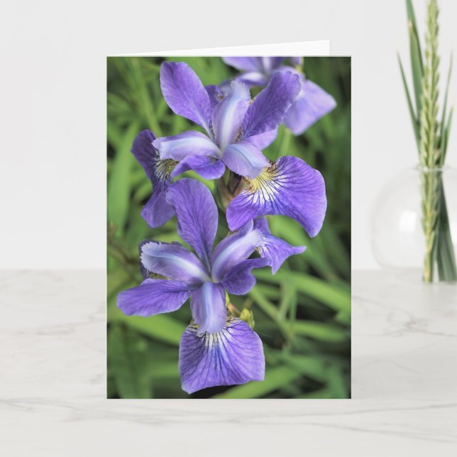 Tarjeta De Agradecimiento Iris morado (Anverso)