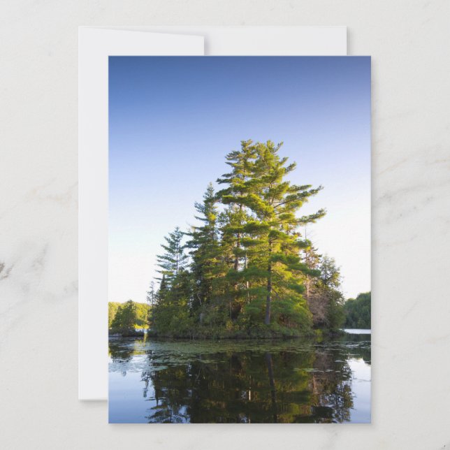 Tarjeta De Agradecimiento Isla en Lake Long Pond (Anverso)