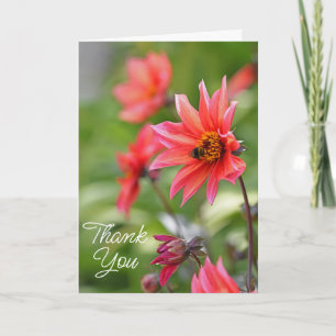 Tarjeta De Agradecimiento Jardín de dalias rosadas y rojas con abeja
