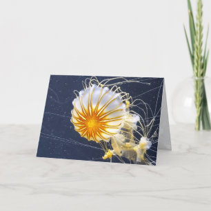 Tarjeta De Agradecimiento Jellyfish Aquarium Sealife Todas Las Ocasiones En 